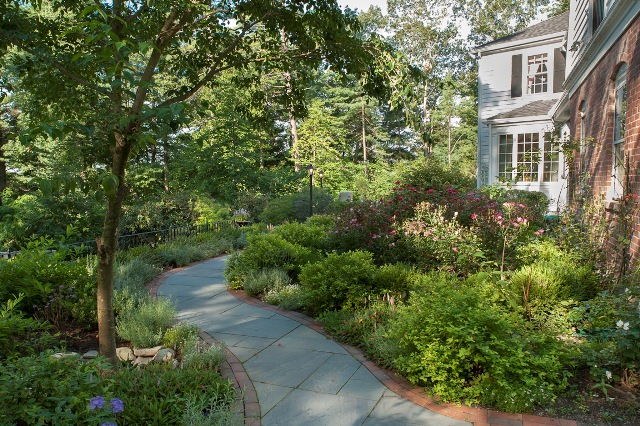 Front Yard Landscape on a Slope - Terrascapes