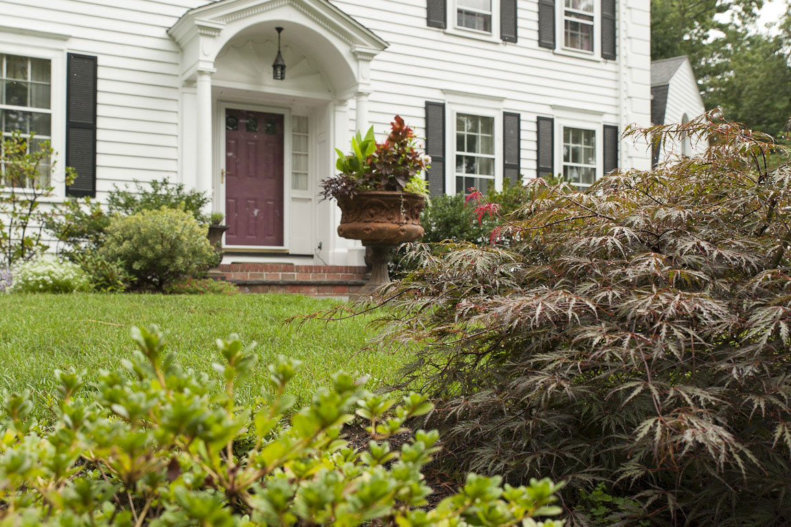 Front Yard Landscape on a Slope - Terrascapes