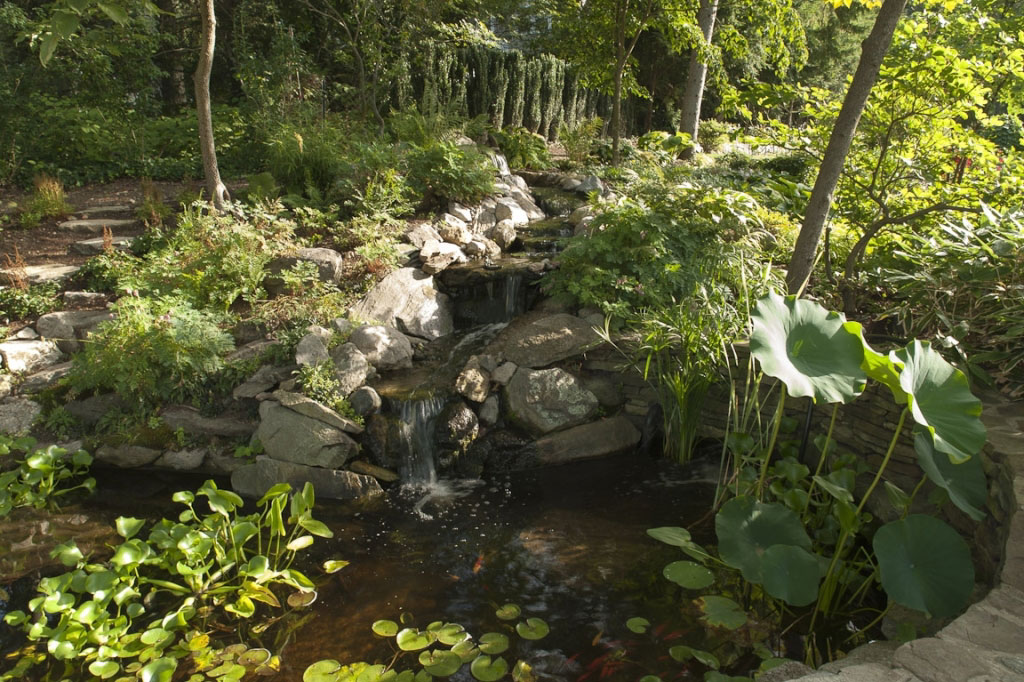 Backyard Built on a Slope - Terrascapes