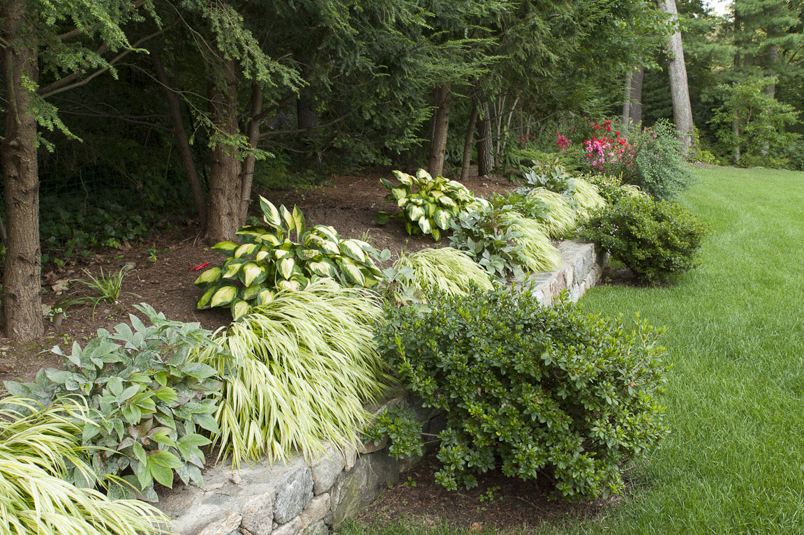 Backyard Built on a Slope - Terrascapes