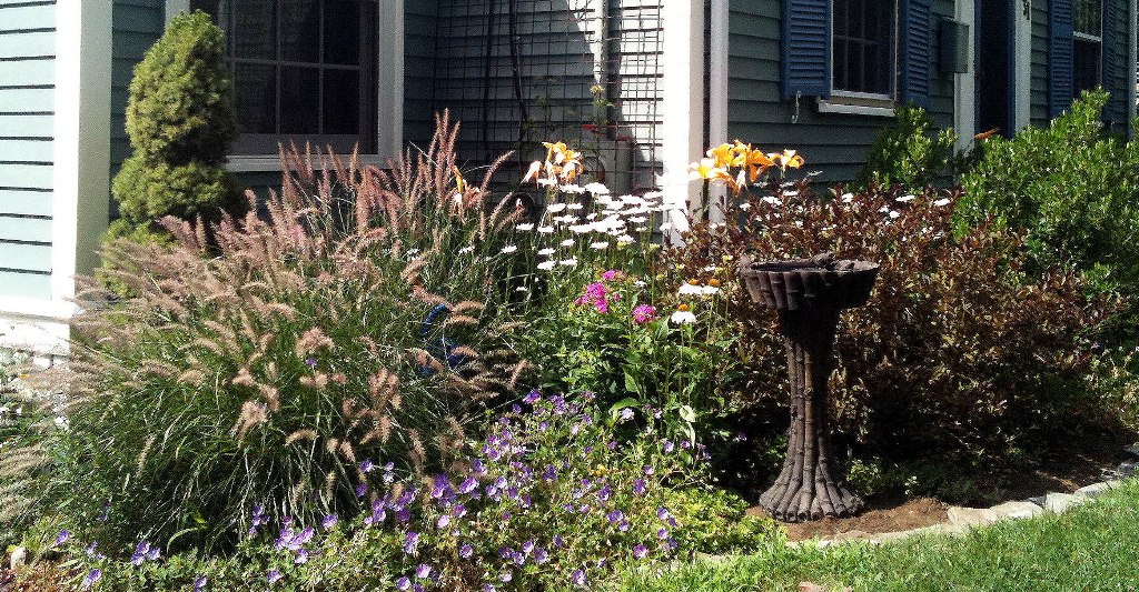 Front Yard Cottage Garden - Terrascapes