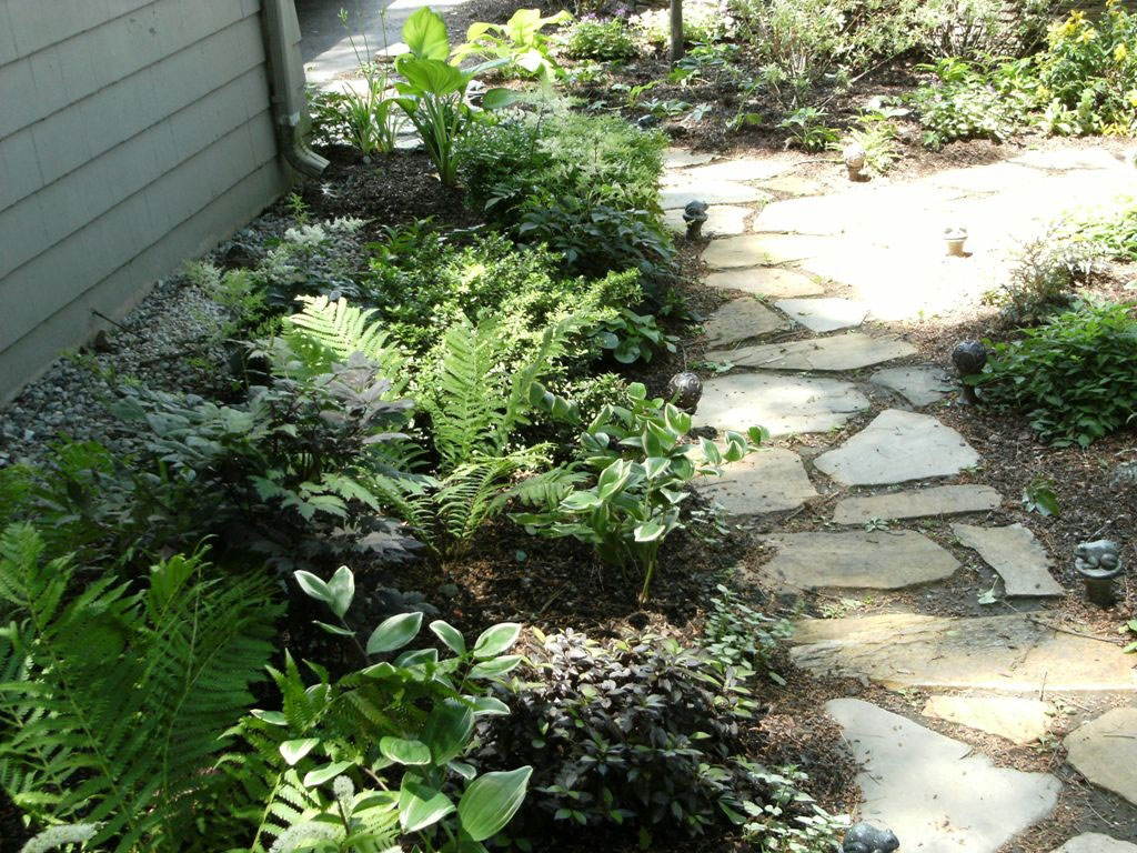Small Backyard Garden - Terrascapes