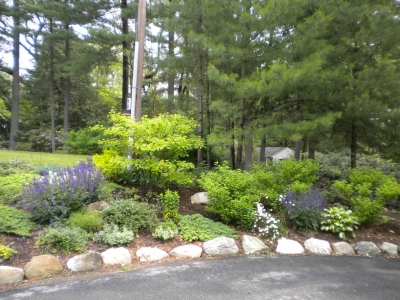 Front Yard Landscape on a Slope - Terrascapes