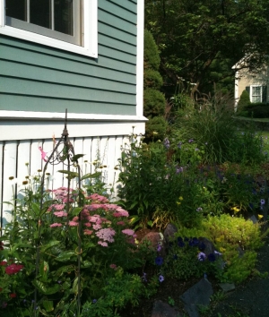 Front Yard Cottage Garden - Terrascapes