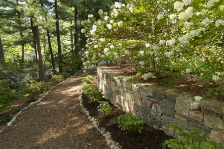 Front Yard Landscape on a Slope - Terrascapes