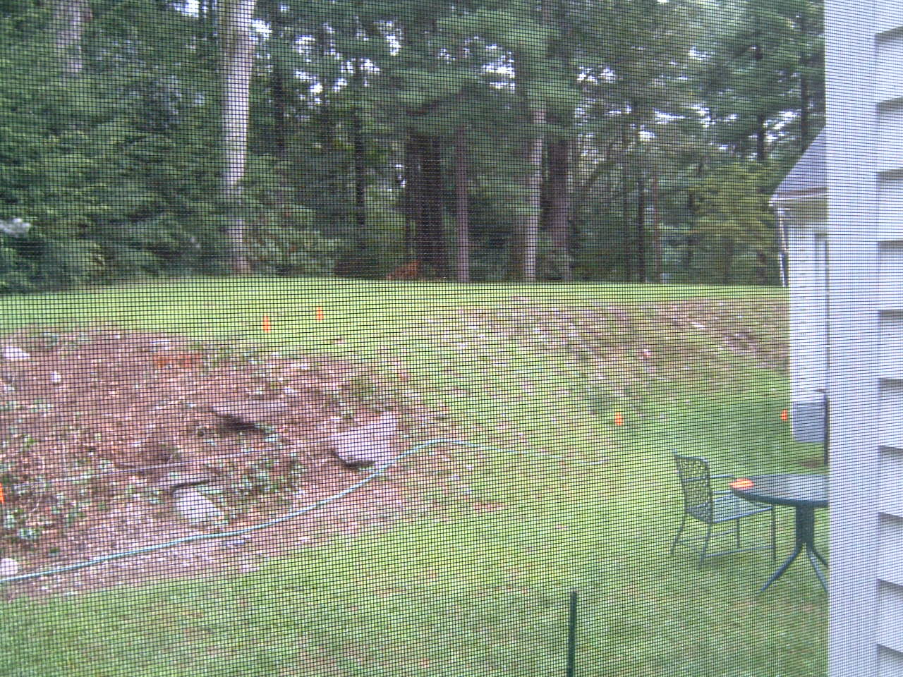 Backyard Built on a Slope - Terrascapes